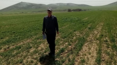 بازدید میدانی از مزارع غلات جو و گندم دیم در آزمایش مقایسه ارقام جدید با رقم شاهد و نیز در آزمایش تراکم های مختلف کشت در شهرستان کبودرآهنگ