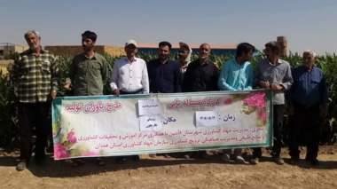 برگزاری دوره آموزشی و ترویجی «مدیریت مزارع ذرت» در شهرستان فامنین