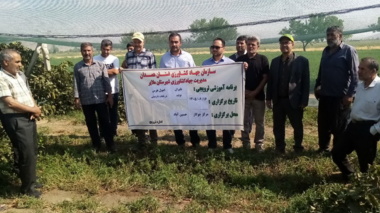 برگزاری دوره آموزشی- ترویجی با موضوع " اصول و فنون هرس باغات انگور داربستی" در شهرستان ملایر
