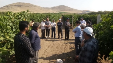 برگزاری دوره آموزشی-ترویجی باموضوع «کاربرد بیوچار در تولید محصولات کشاورزی» در شهرستان ملایر