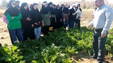 برگزاری دوره آموزشی- مهارتی و بازدید دانشجویان دانشکده کشاورزی بوعلی از ایستگاه تحقیقاتی اکباتان