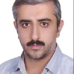 آقای مهندس جواد بشیری صفا