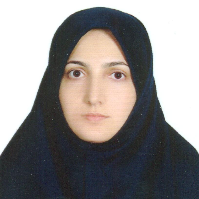 خانم مهندس پرستو همتی